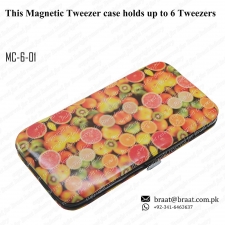 Magnet Tweezers Case